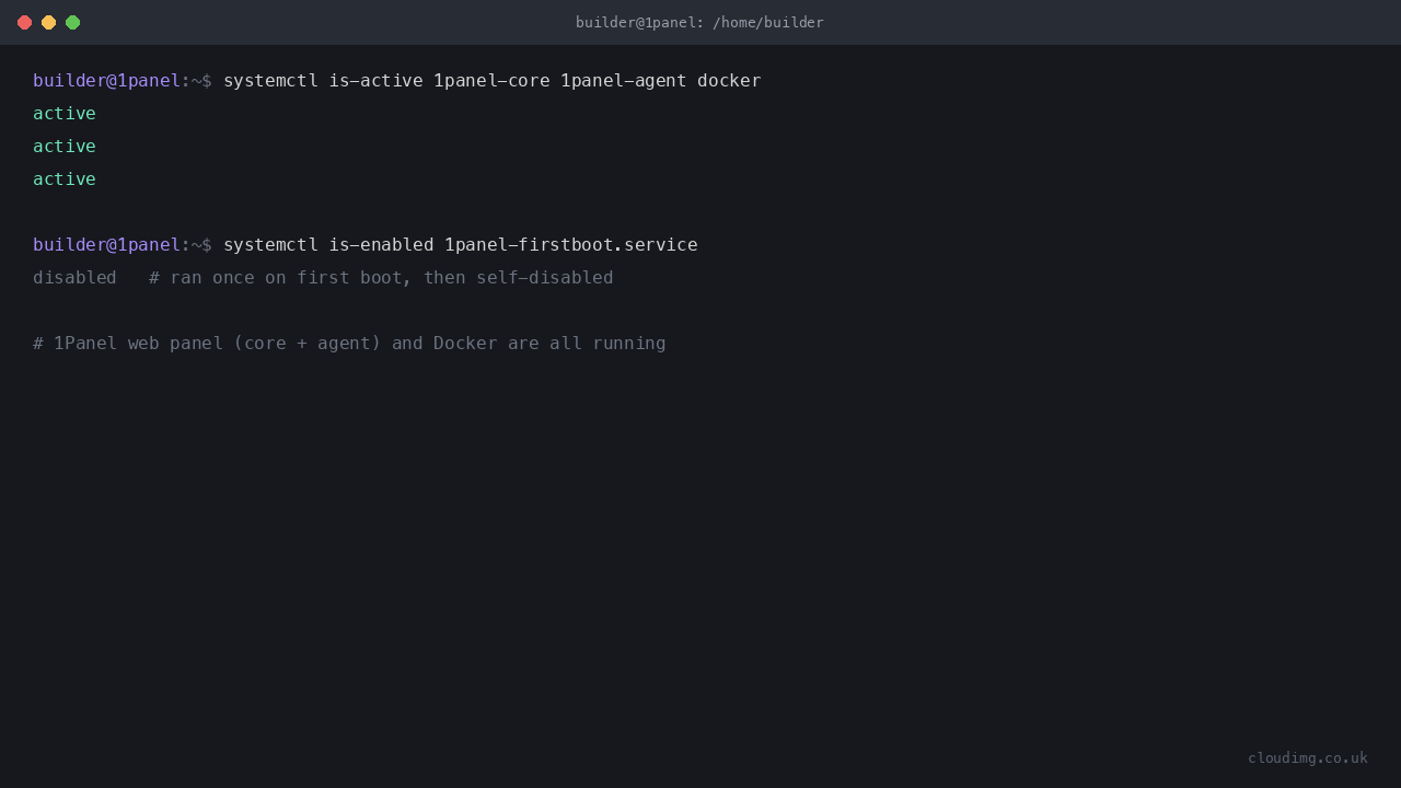 1Panel core and agent services and Docker reporting active