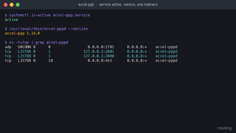 accel-ppp service active, version 1.14.0, and ss showing SSTP on 0.0.0.0:443, L2TP on 0.0.0.0:1701 and the management CLI bound to loopback only