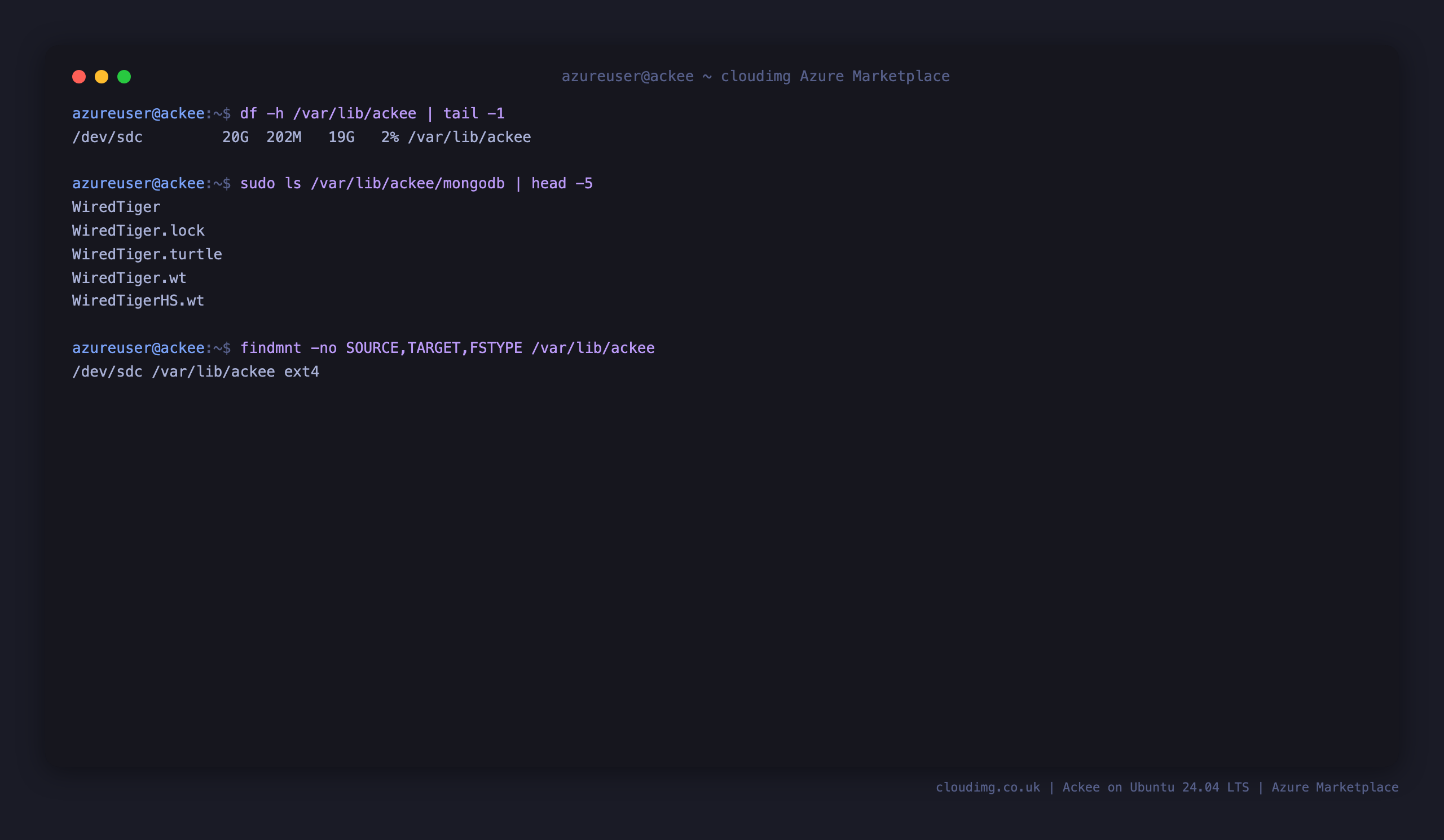 The MongoDB dbPath on the dedicated ext4 data disk, listing the WiredTiger data files
