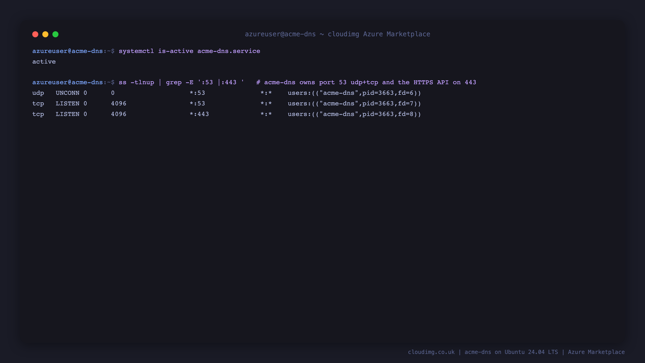 acme-dns.service reports active, and ss shows the acme-dns process listening on port 53 over both UDP and TCP on all interfaces and on port 443 for the HTTPS REST API
