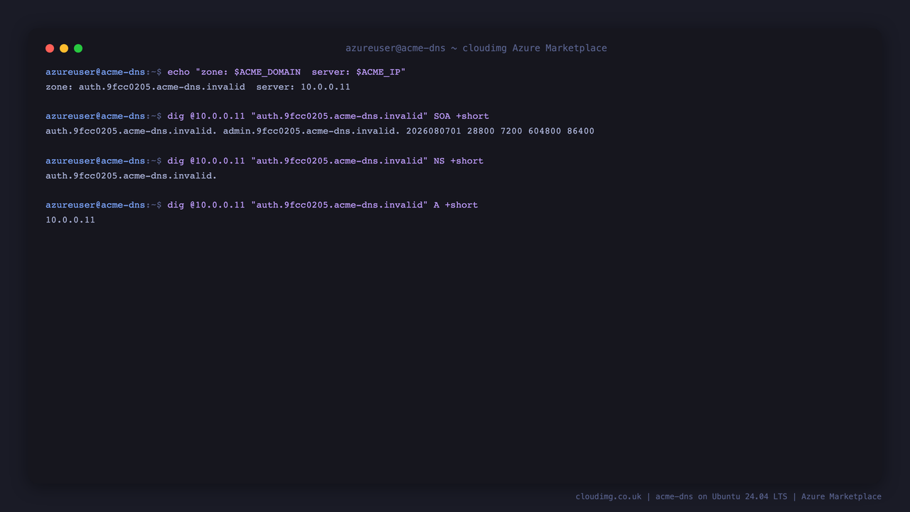 the per instance challenge zone is printed along with the server address, and dig returns the SOA, NS and A records for that zone answered directly by acme-dns on the routable address