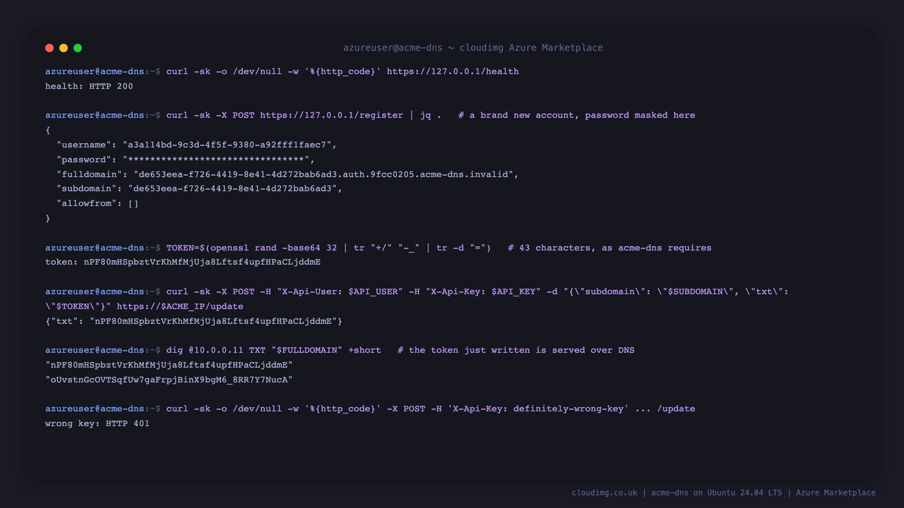 the health endpoint returns HTTP 200, a registration call returns a new account as JSON with username password fulldomain and subdomain, a 43 character token written through the authenticated update endpoint is echoed back and then returned by dig as a TXT record, and a request with the wrong key is rejected with HTTP 401