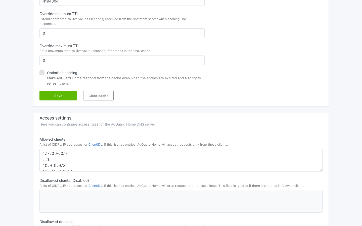 The Access settings section of AdGuard Home's DNS settings with the allowed clients list restricted to loopback and private ranges