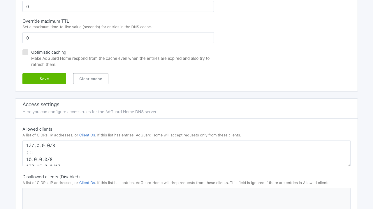 The Access settings section of AdGuard Home's DNS settings with the allowed clients list restricted to loopback and private ranges