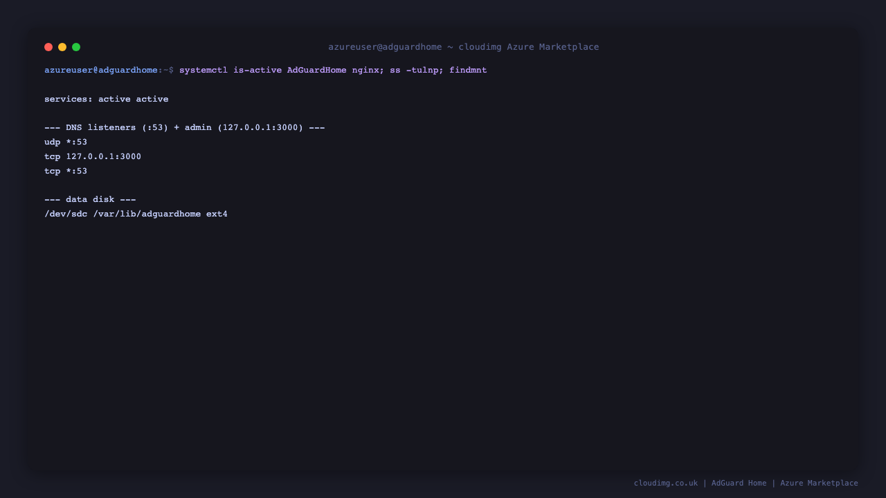 AdGuardHome.service and nginx.service active, the DNS listeners on port 53, the admin on 127.0.0.1:3000, and the dedicated data disk mounted at /var/lib/adguardhome