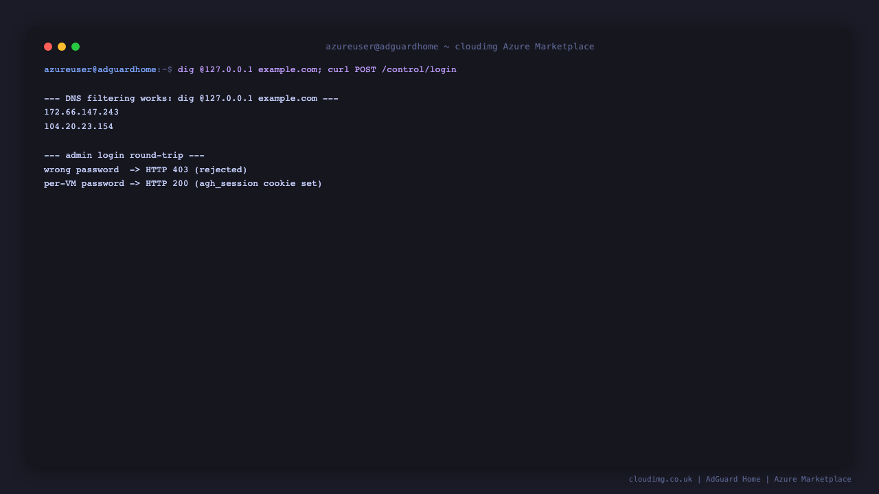 Resolving example.com, the ad domain blocked with 0.0.0.0, and the admin login round trip rejecting a wrong password and accepting the per VM password with a session cookie