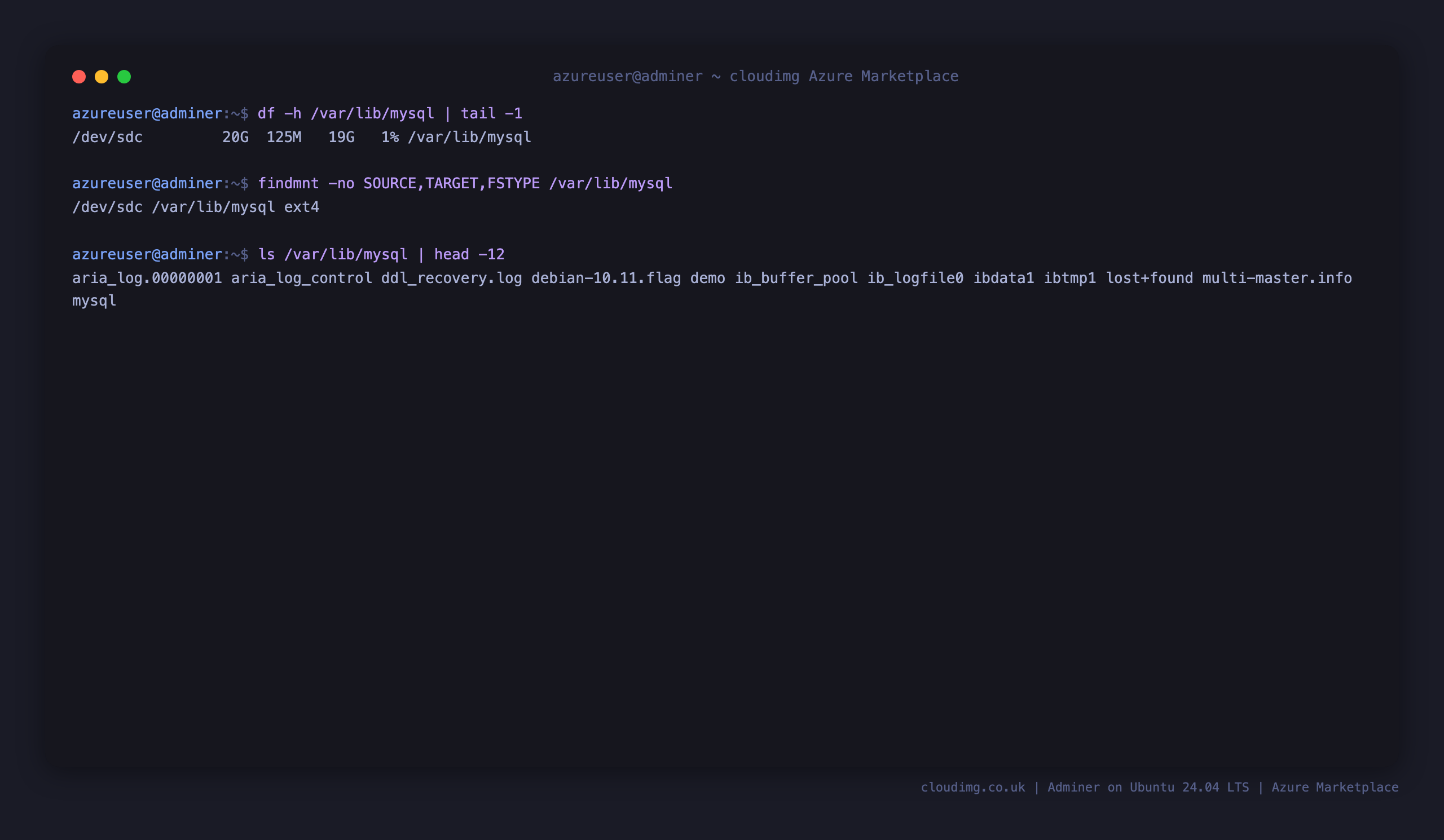 The MariaDB datadir on the dedicated ext4 data disk mounted at /var/lib/mysql