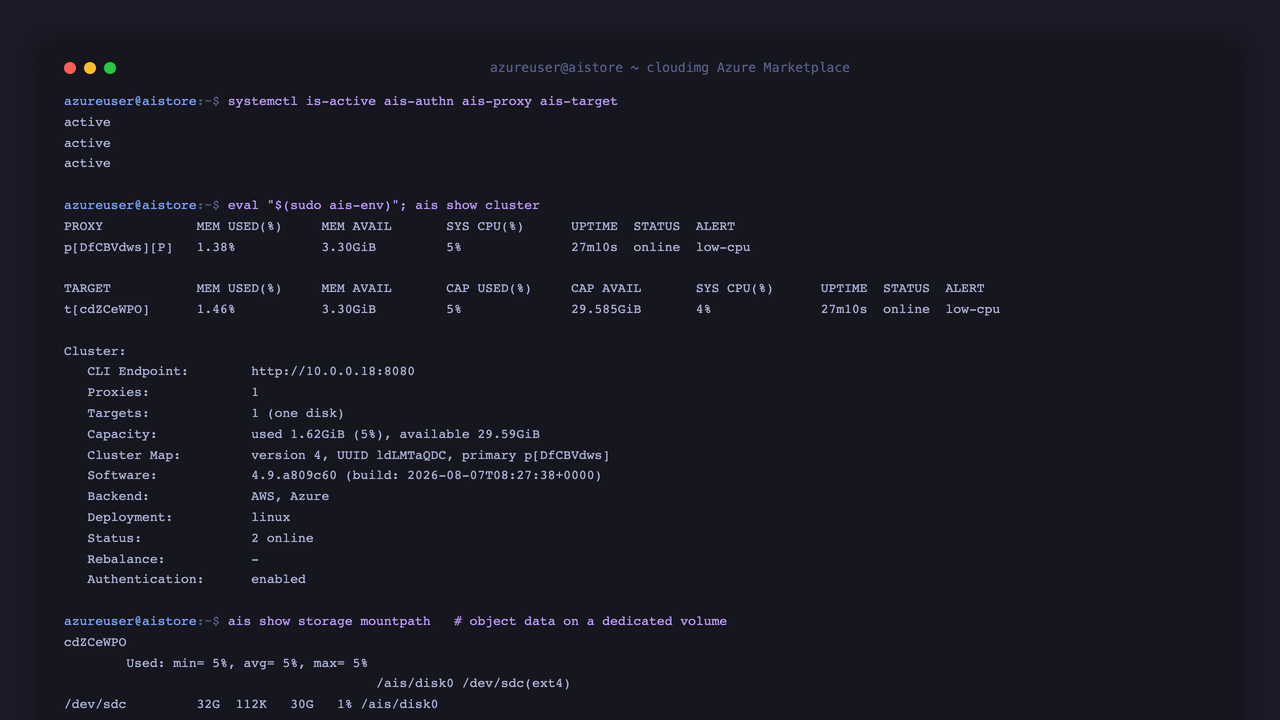 The three AIStore services active, the single node cluster online with authentication enabled, and the storage target using the dedicated /ais/disk0 volume