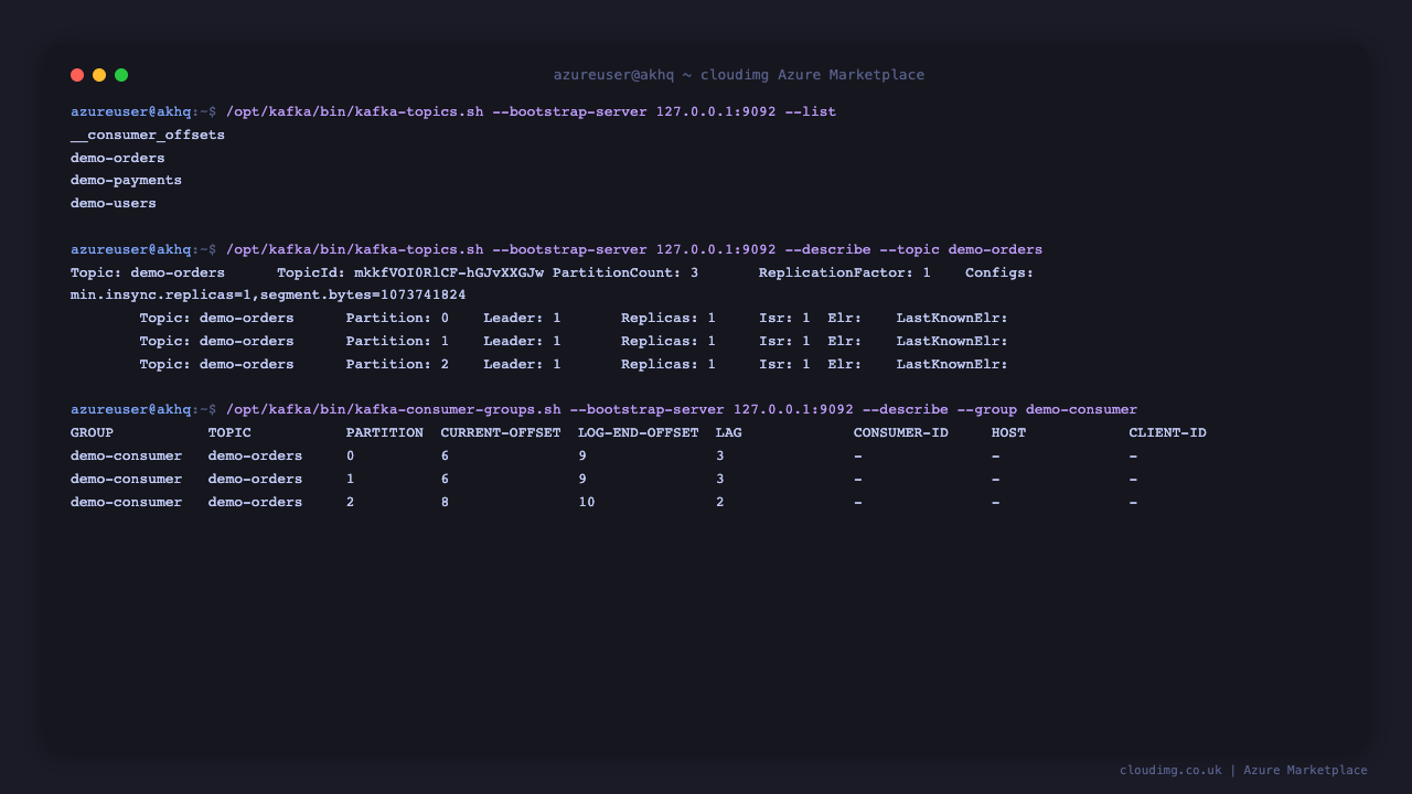 The Kafka command line tools on the VM listing the seeded topics on the loopback broker, describing the demo-orders topic and its three partitions, and showing the demo-consumer group's committed offsets and per partition lag