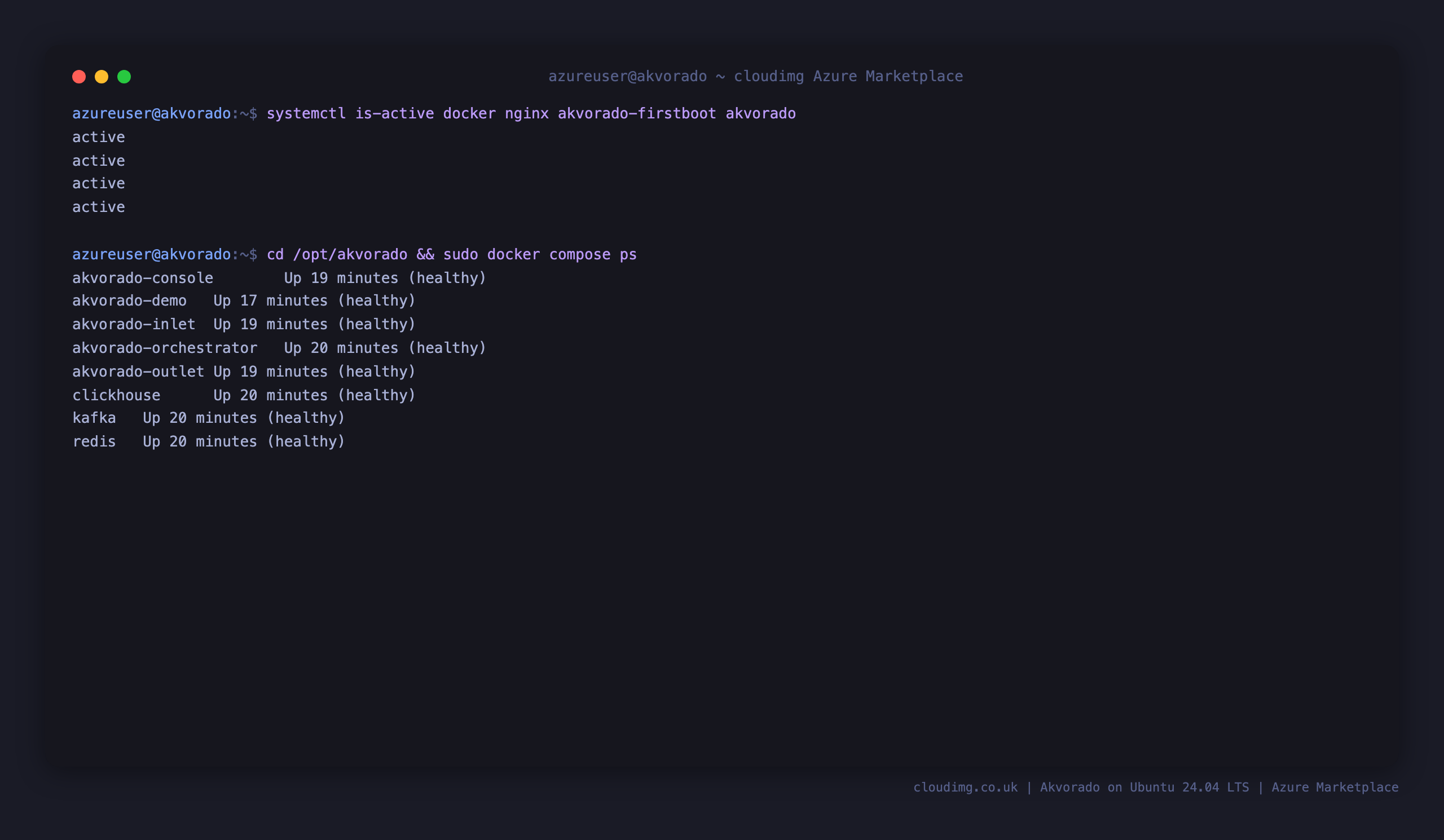 The docker, nginx, akvorado-firstboot and akvorado systemd services active, and the seven stack containers all reporting healthy