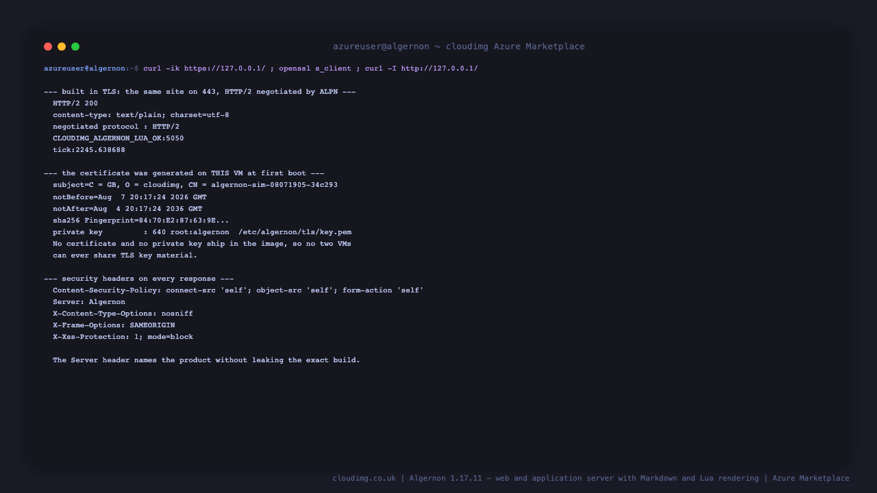 The Lua page served over TLS with HTTP/2 negotiated, the per instance certificate subject and validity dates with its fingerprint, the private key file mode showing it readable only by root and the service account, and the security headers present on every response including the content security policy