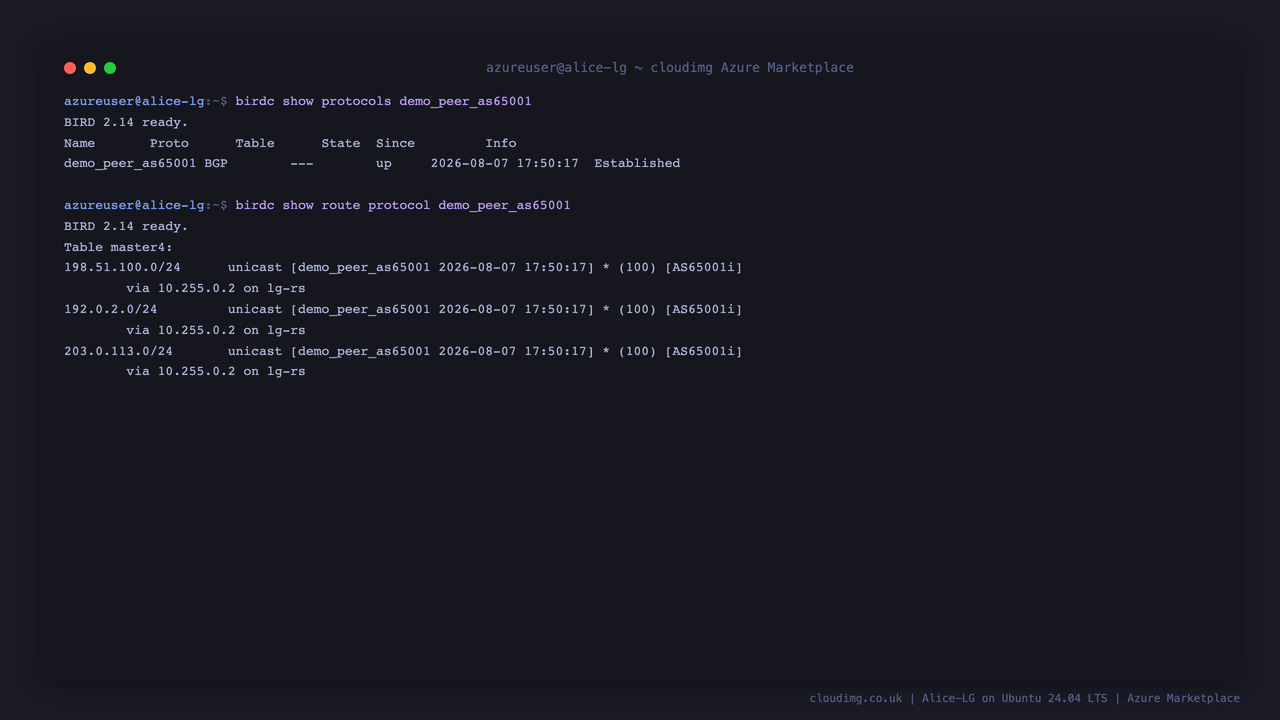 The demo BGP session reporting Established, and the three documentation prefixes the route server accepted from it
