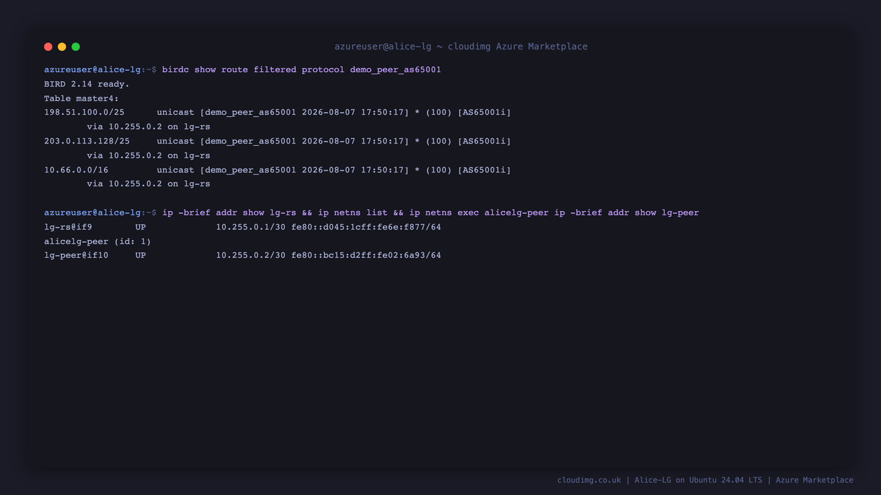 The rejected prefixes held by the route server, and the private link plus network namespace the demo session runs over
