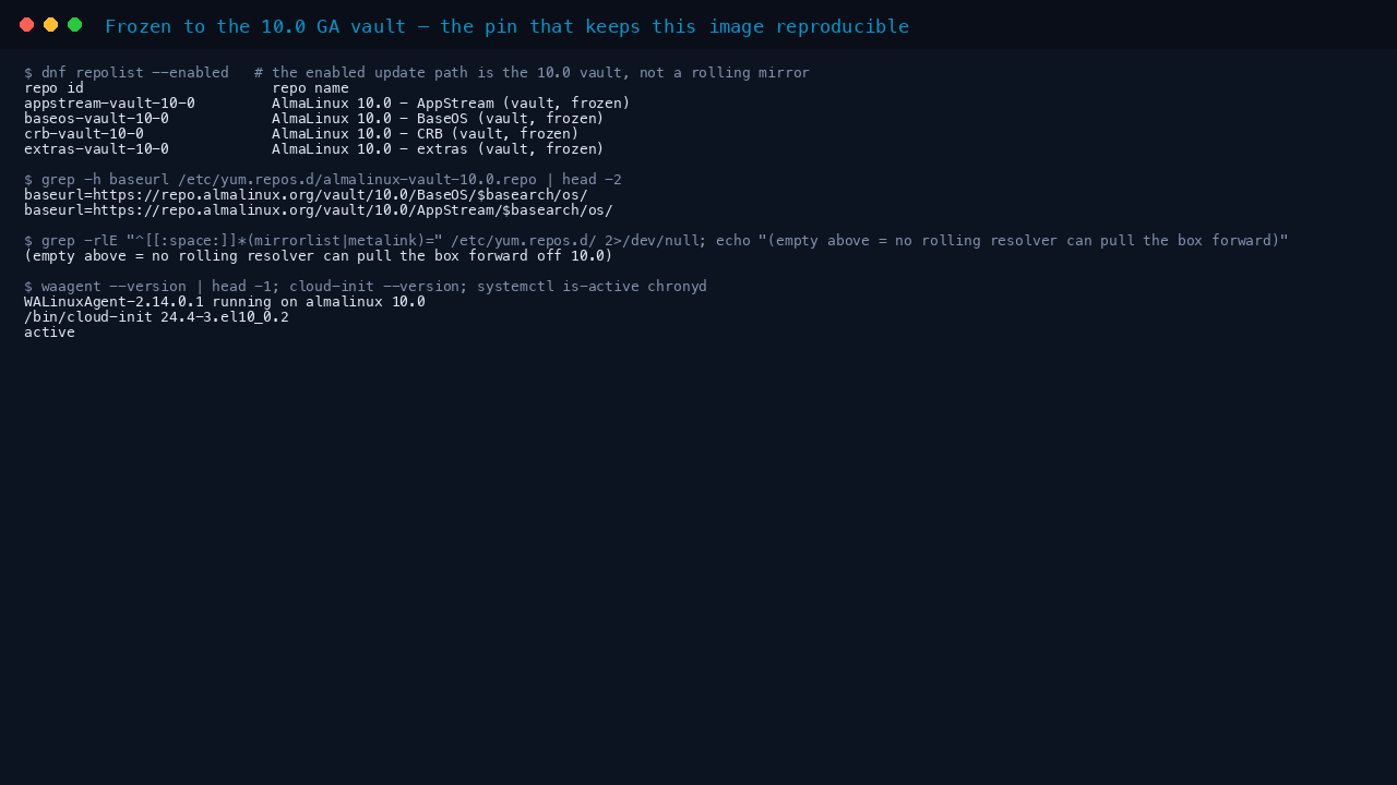 The terminal shows the four vault repositories enabled, the vault baseurls pointing at repo.almalinux.org vault 10.0, no rolling mirrorlist or metalink present, and waagent, cloud-init and chronyd all healthy
