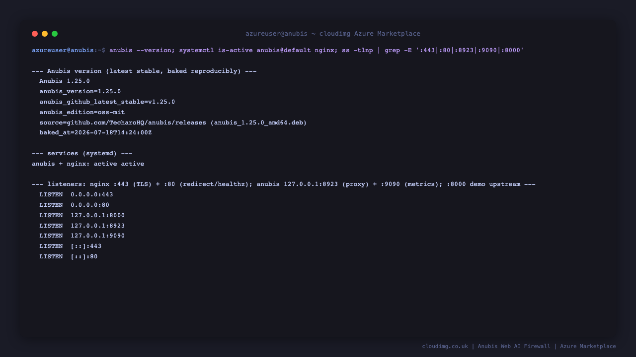 anubis@default.service and nginx.service both active (running); the Anubis version baked into the image; ss shows nginx listening on :443 for TLS and :80 for the redirect and health probe, Anubis on 127.0.0.1:8923 for the proxy and 127.0.0.1:9090 for metrics, and a loopback demo upstream on 127.0.0.1:8000