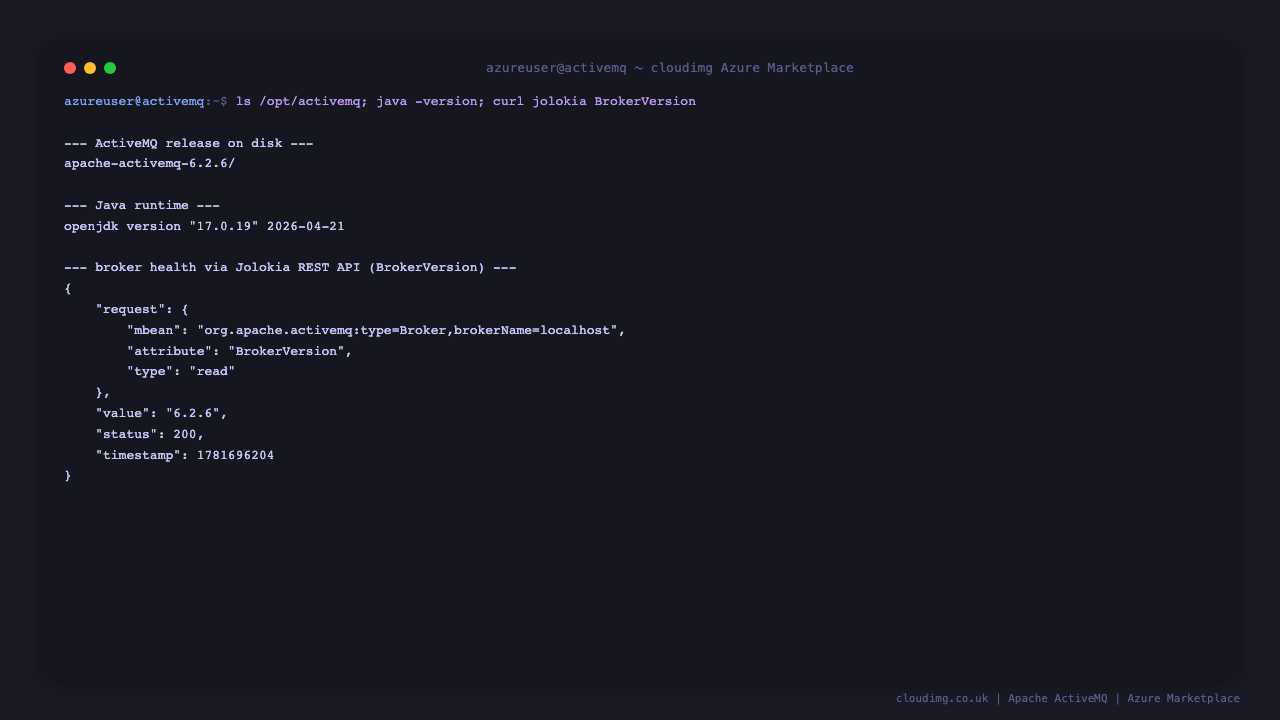 Broker version and Jolokia health