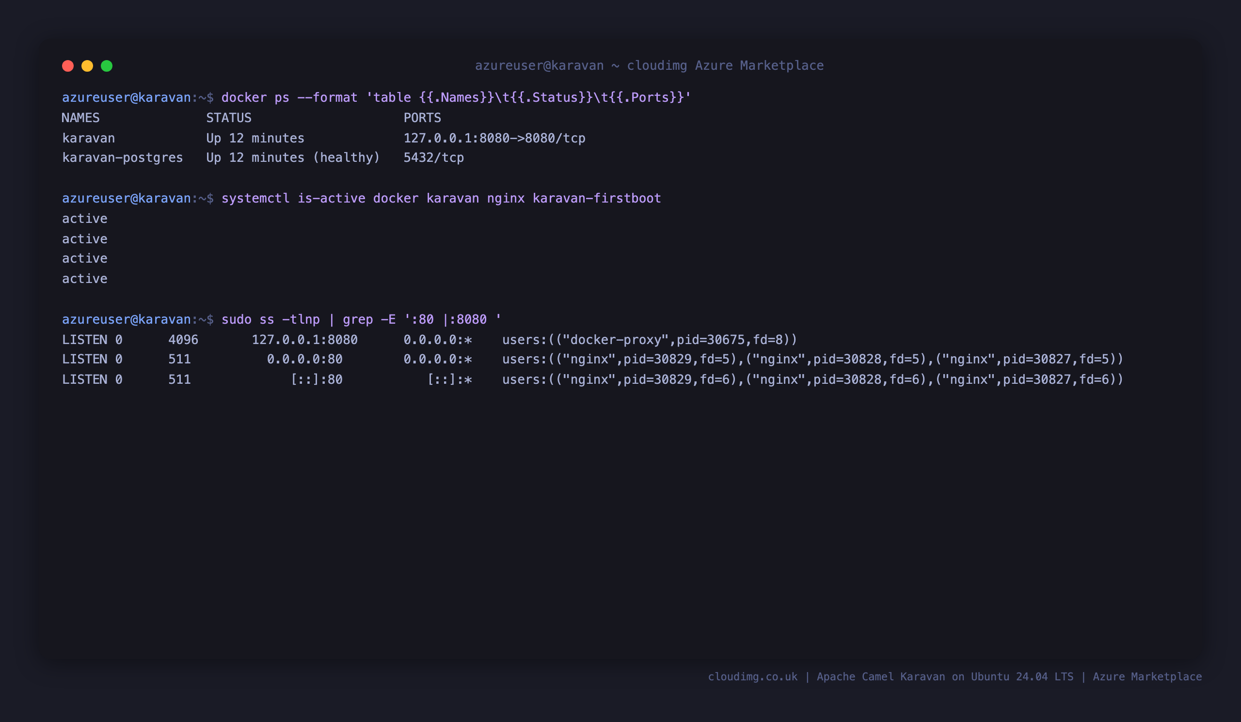 The karavan and karavan-postgres containers up, the docker, karavan and nginx units active, and Karavan listening on loopback 127.0.0.1:8080 while nginx listens on port 80
