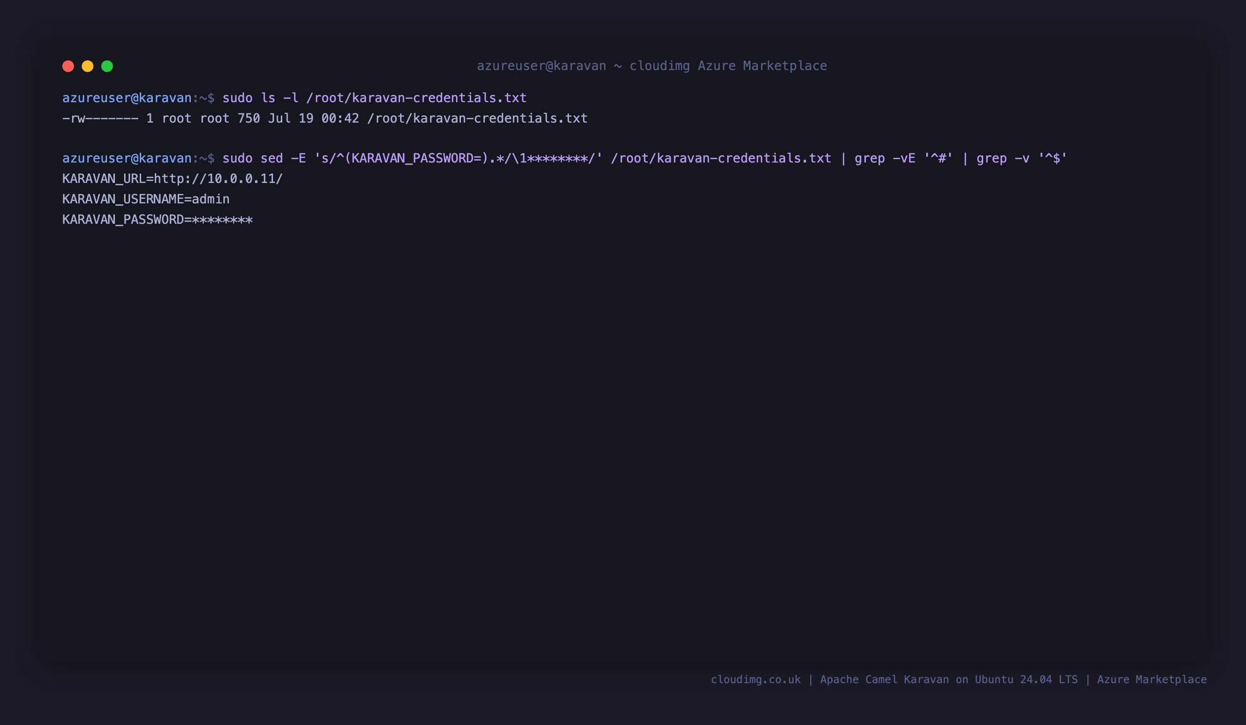 The per VM credentials file with the generated admin username, the password value masked, and the URL