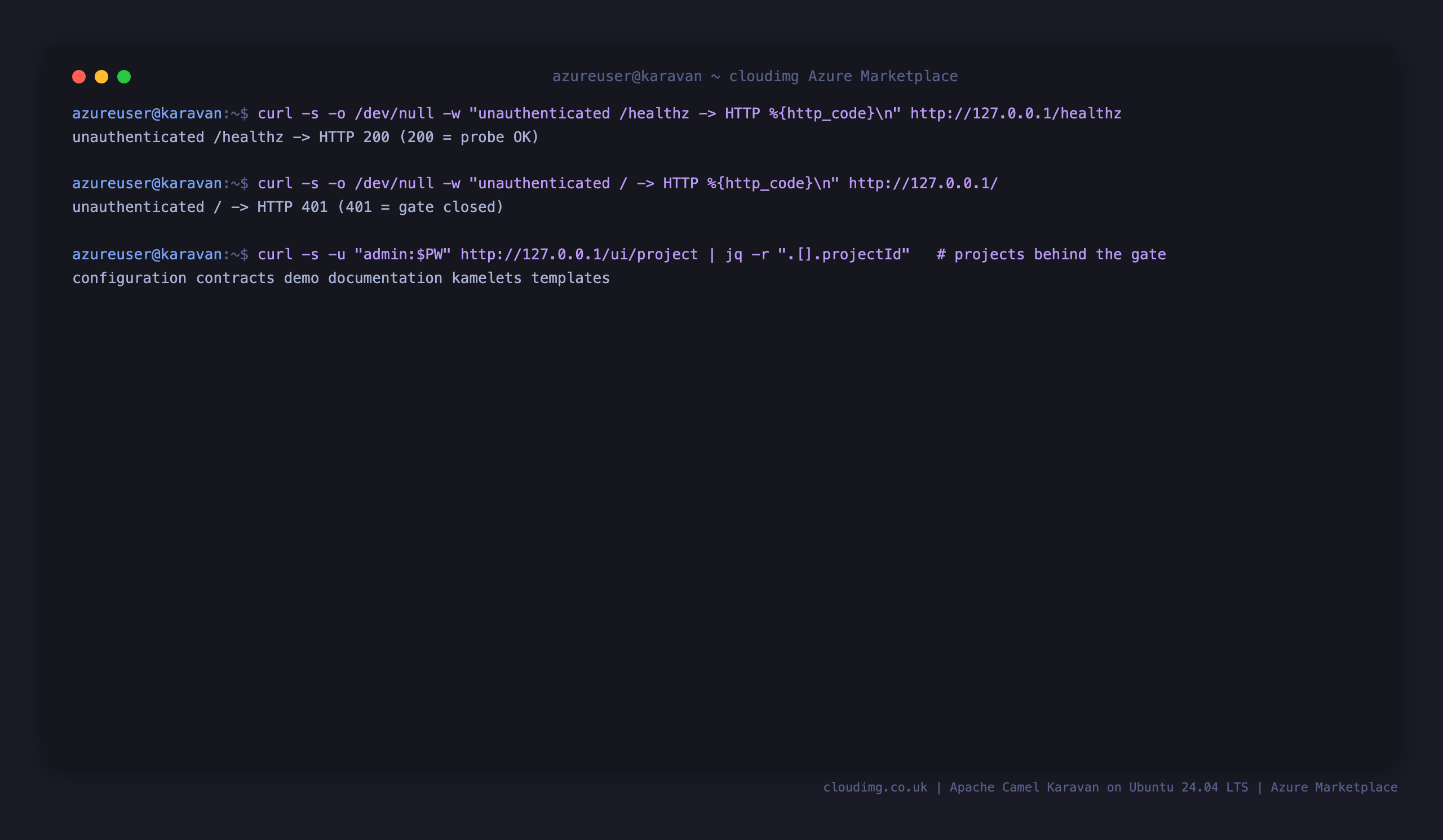 The auth round trip returning 200 for the unauthenticated health endpoint, 401 for an unauthenticated UI request, and the demo project listed once authenticated with the per VM password