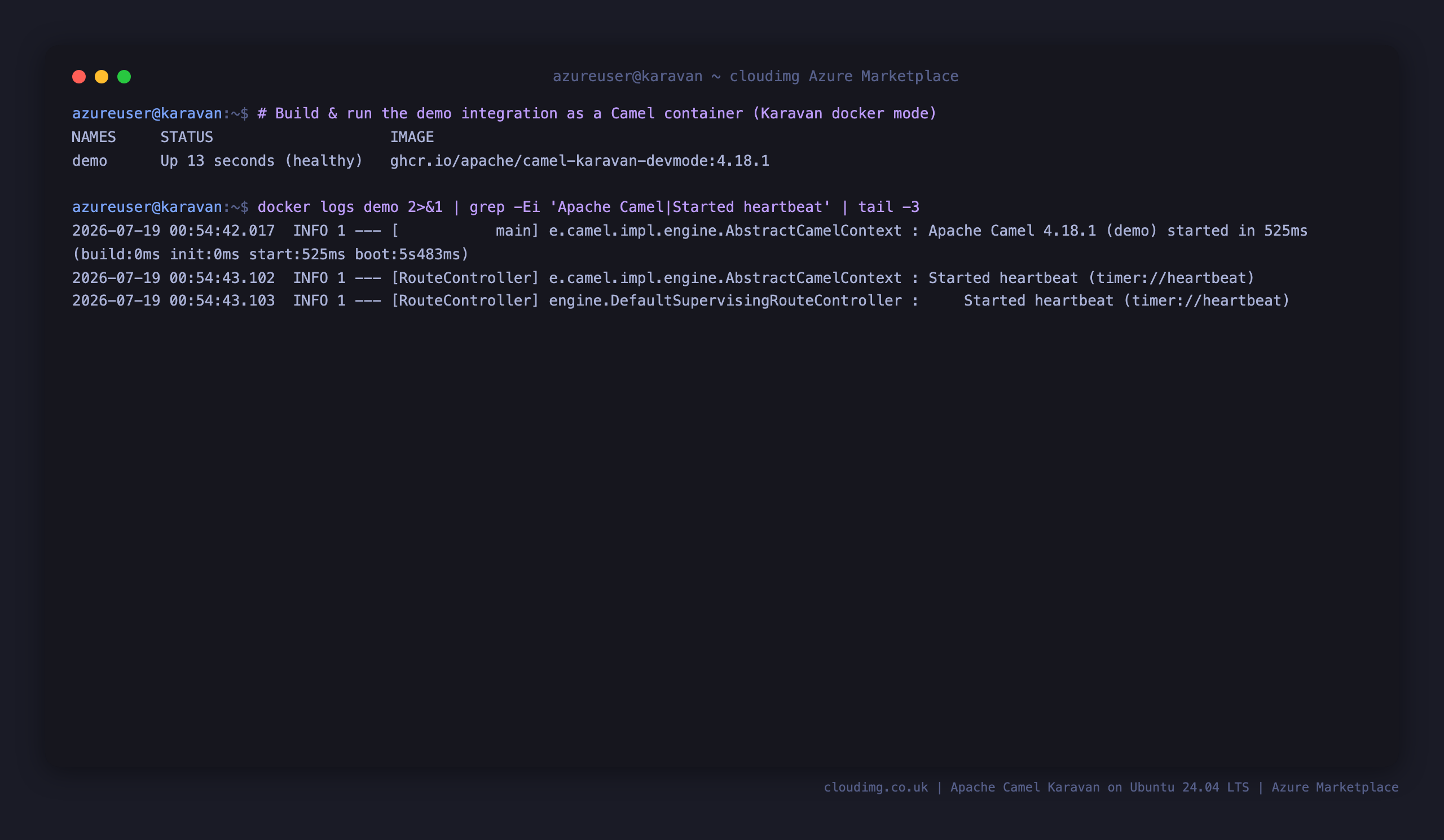 The demo integration running as a Camel container built by Karavan's Docker mode, with the container healthy and the heartbeat route logging that it started
