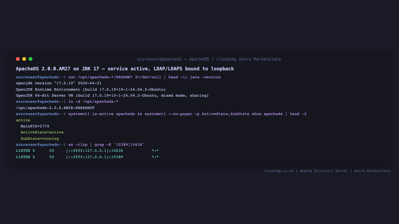 ApacheDS version, service status and loopback listeners