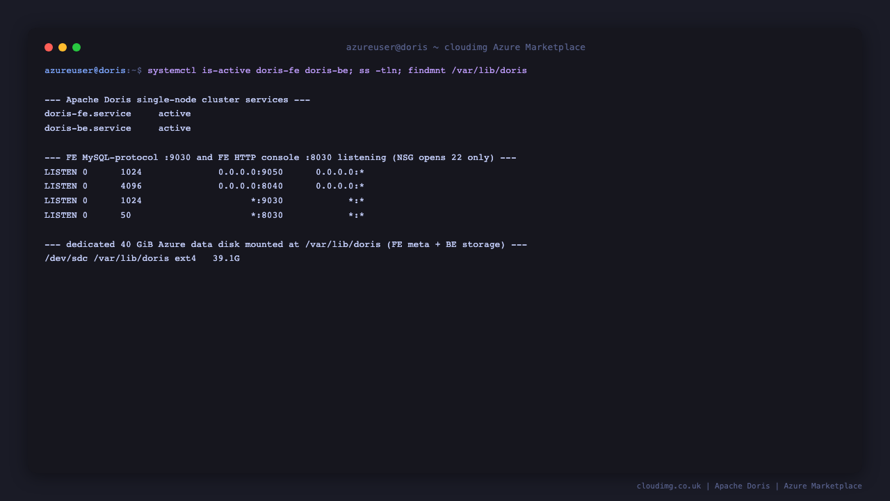 Apache Doris services active and the data disk mounted