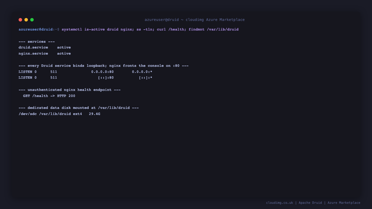 Druid and nginx services active and the health endpoint reachable
