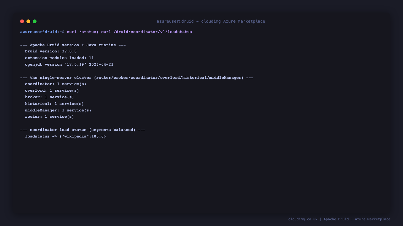 The Druid status and coordinator load-status REST responses