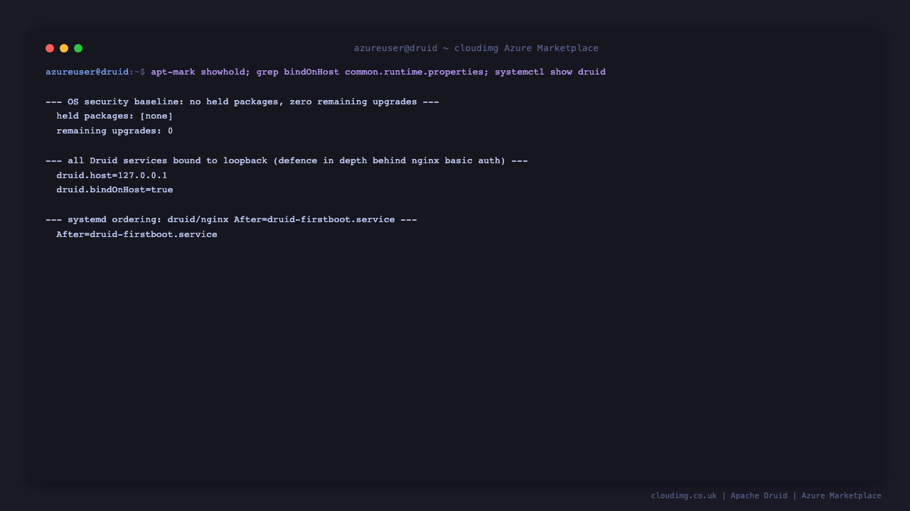Druid persistent state living on the dedicated data disk