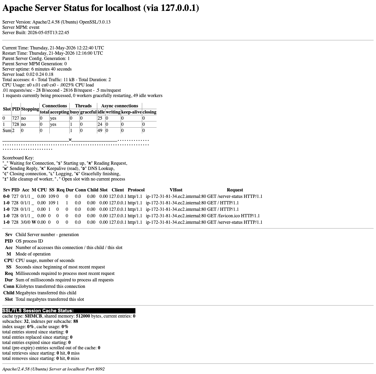 Apache mod_status server status report