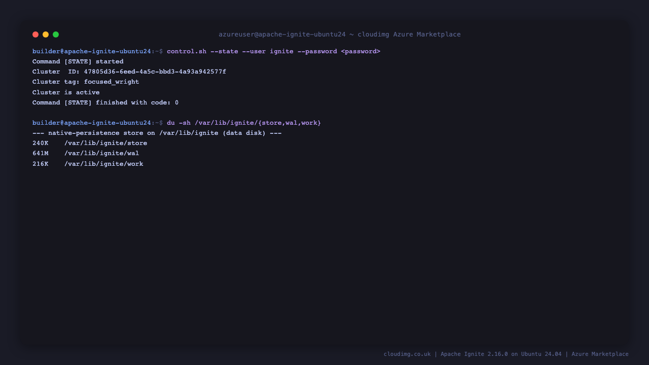 Apache Ignite cluster state and the native-persistence store on the data disk