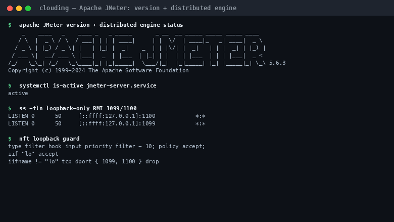 Apache JMeter version, distributed engine status and loopback RMI