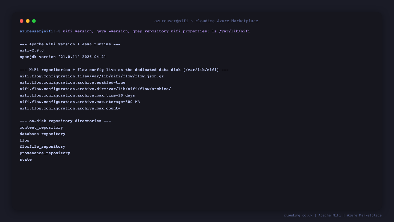 NiFi version and the repositories living on the dedicated data disk