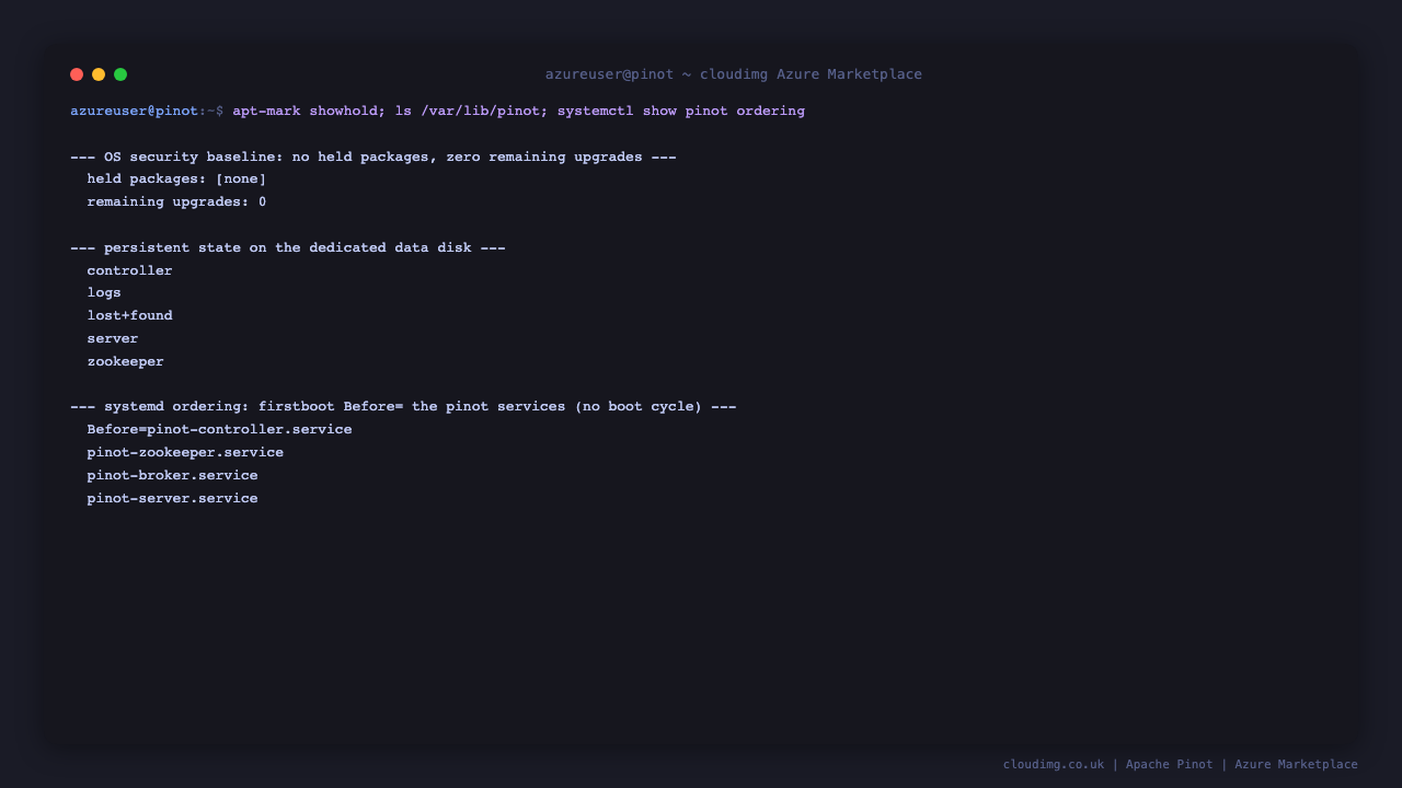 Pinot persistent state living on the dedicated data disk