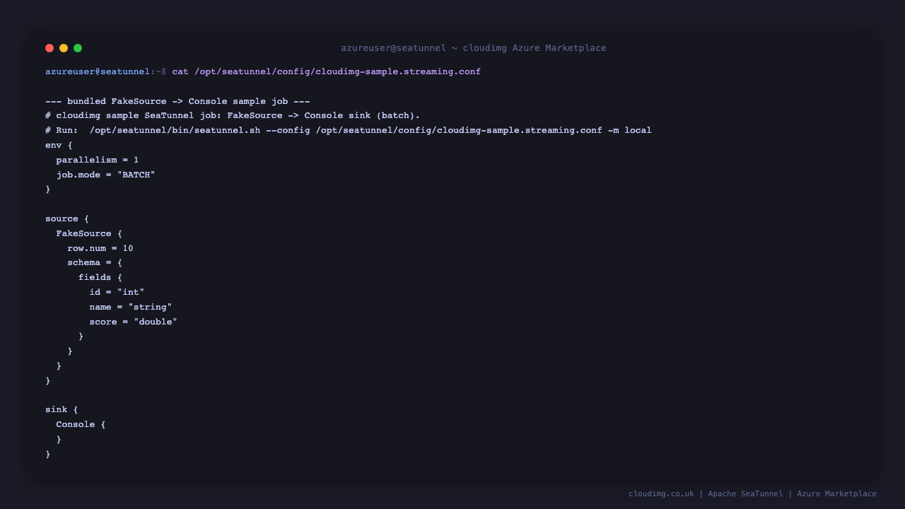 SeaTunnel sample job config