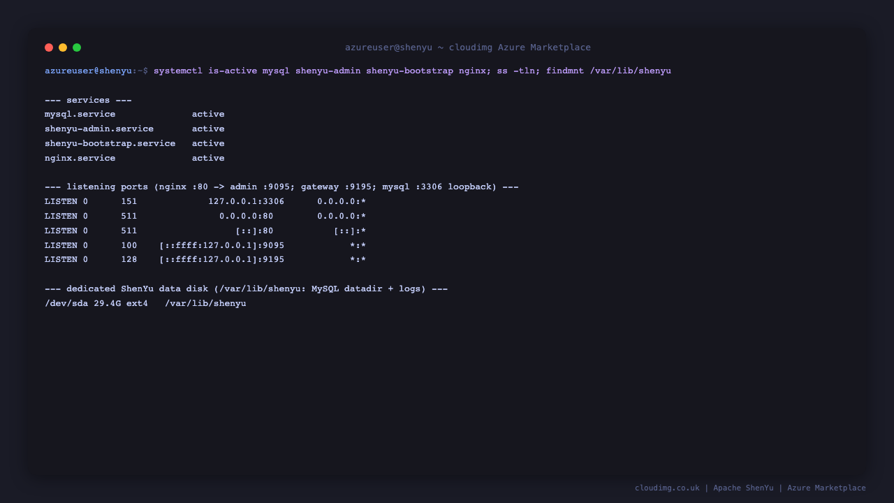 ShenYu services active, loopback ports and the dedicated data disk