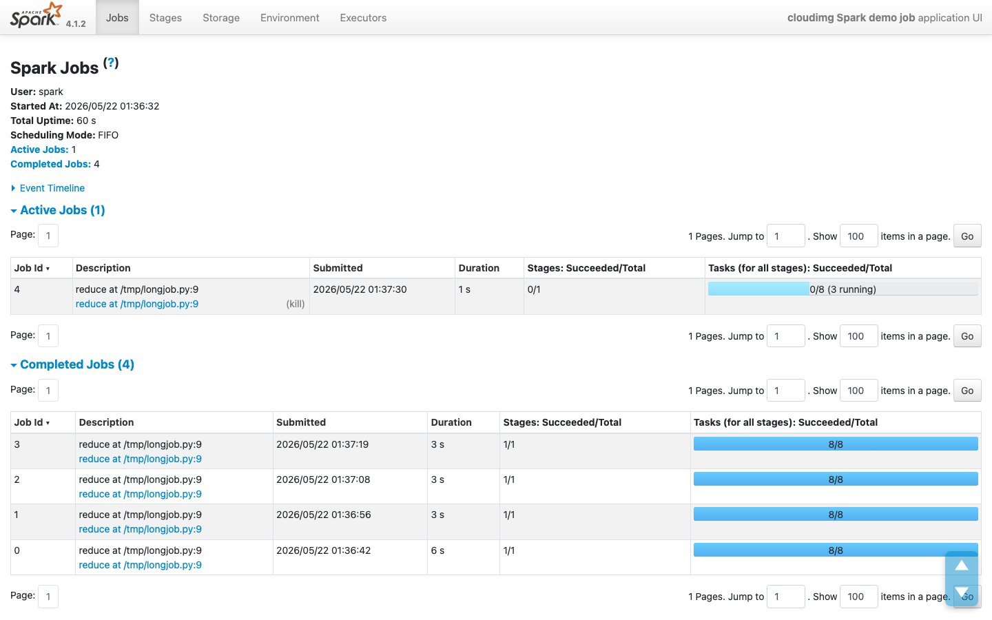 Spark application detail page in the web UI