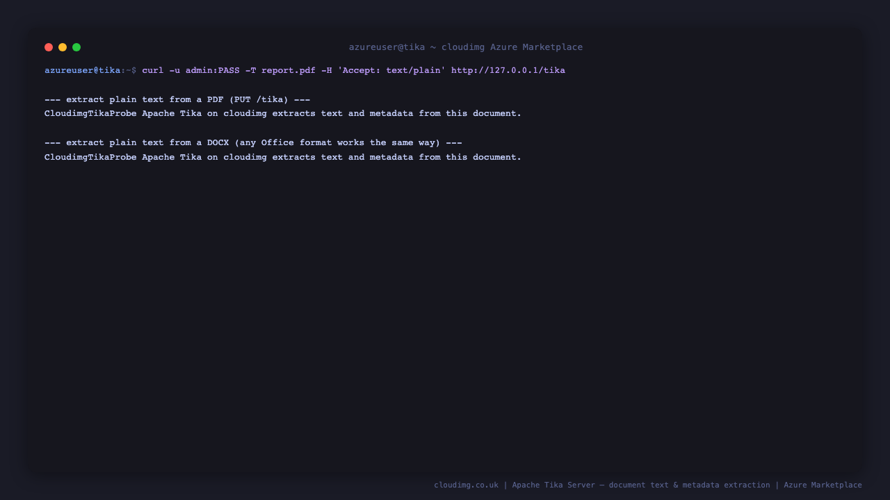 Terminal showing Tika extracting the plain text content from both a PDF and a DOCX document through the authenticated API