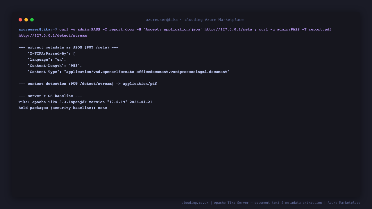 Terminal showing Tika returning JSON metadata for a document and detecting the media type of a PDF