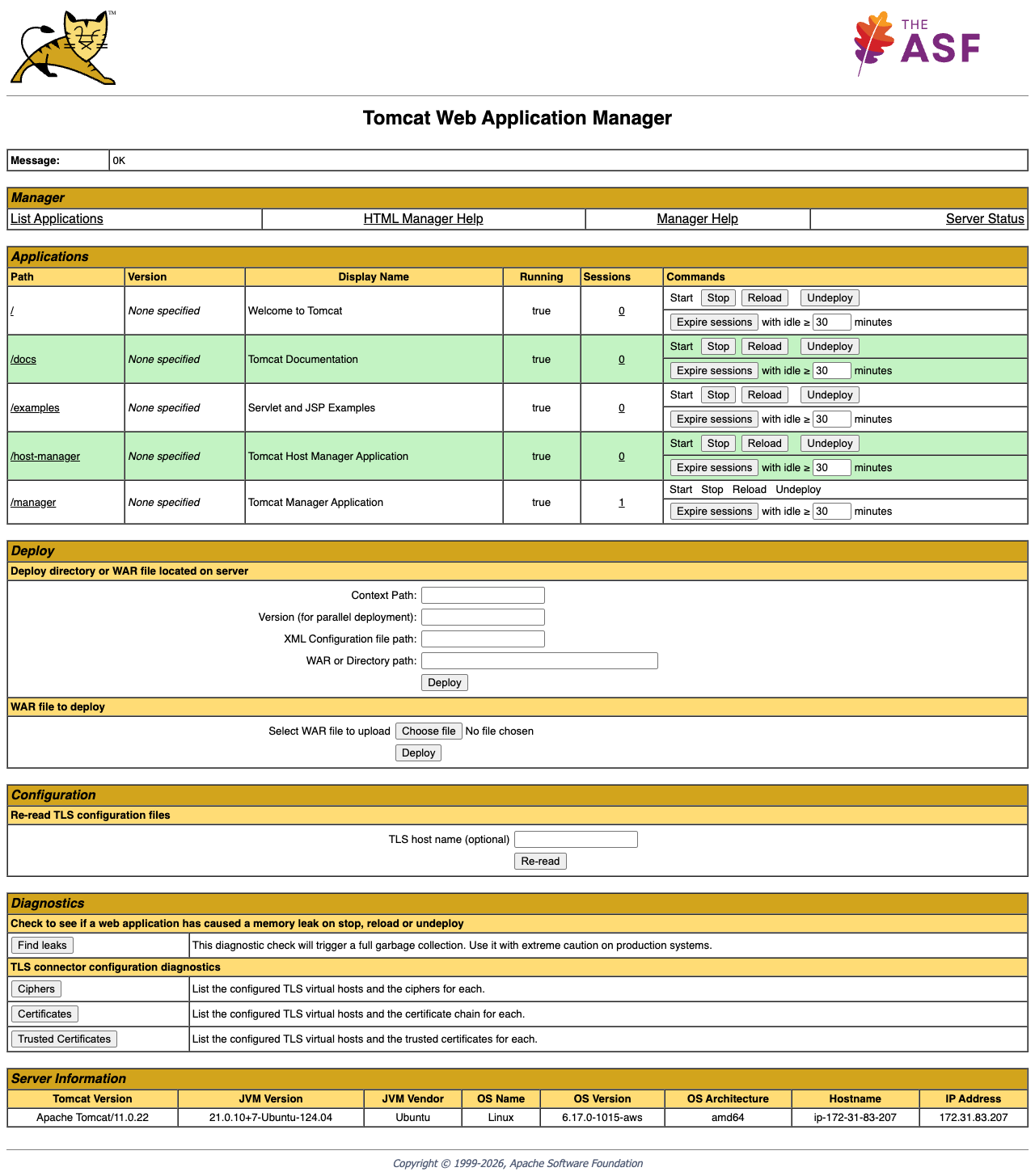 Tomcat Web Application Manager