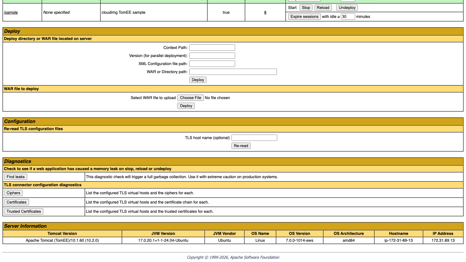 The Manager Deploy section with the WAR file upload form, the Configuration and Diagnostics sections, and the Server Information row