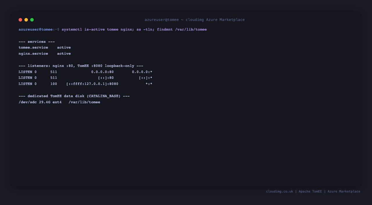 tomee.service and nginx.service active with the loopback connector and the dedicated data disk