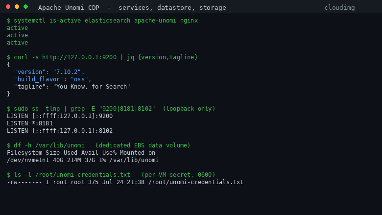Apache Unomi services, datastore and storage