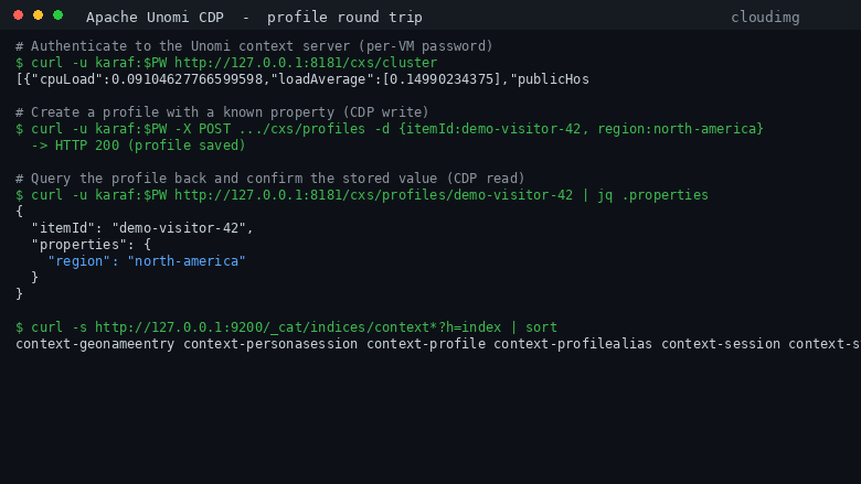 Apache Unomi profile round trip