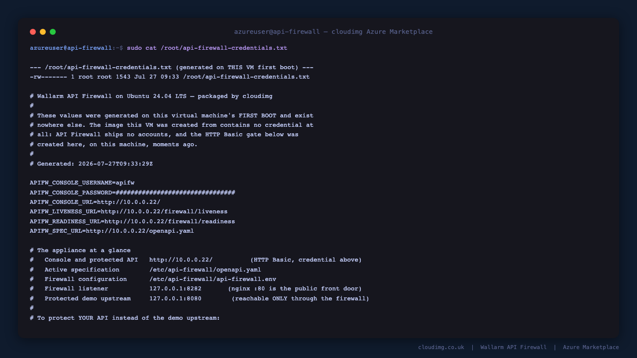 The per instance credentials file, owned by root with mode 0600, listing the console username, the generated password, and the console, liveness, readiness and specification URLs for this VM