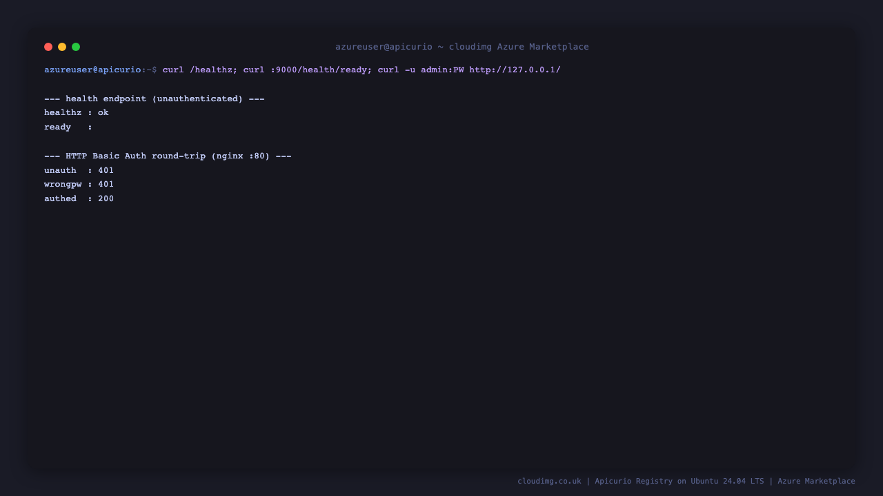 The health endpoint returning ok, the readiness endpoint reporting status UP, and the HTTP Basic Auth round trip returning 401 unauthenticated, 401 for a wrong password, and 200 with the per VM password