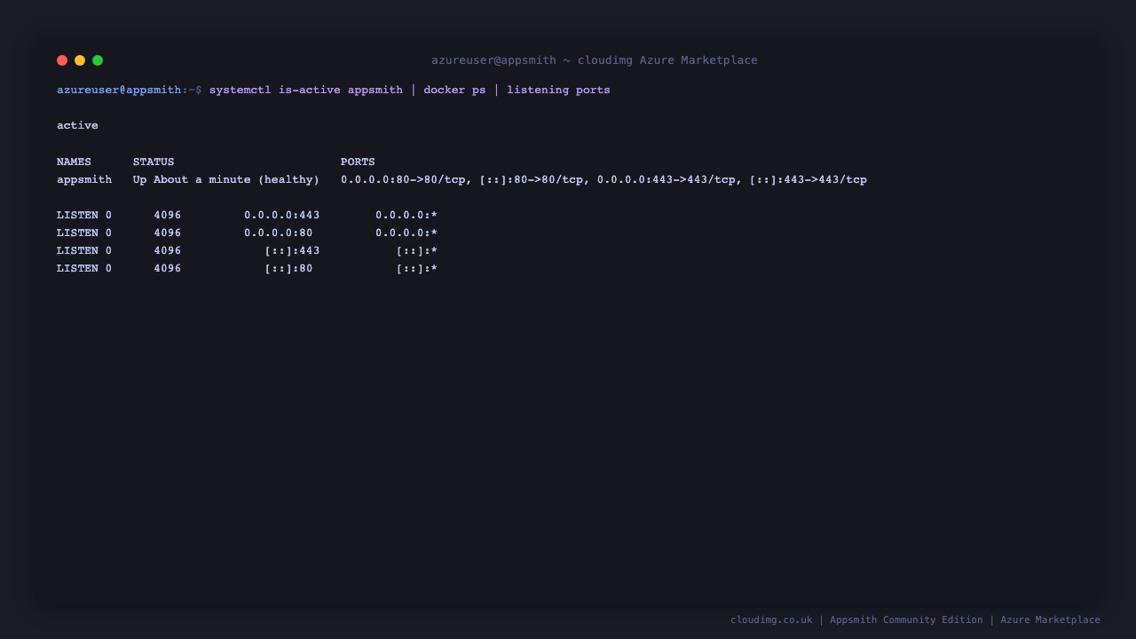 Appsmith service active and the docker container reports healthy