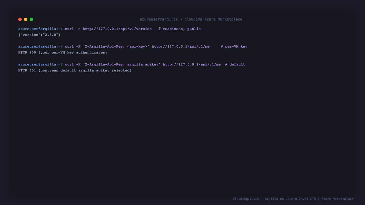 The version endpoint returning 2.8.0, the per VM key authenticating, and the upstream default key argilla.apikey being rejected with 401