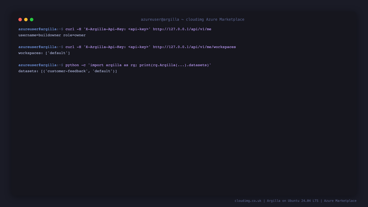 The REST API returning the owner identity, the default workspace and the example dataset when called with the per VM API key
