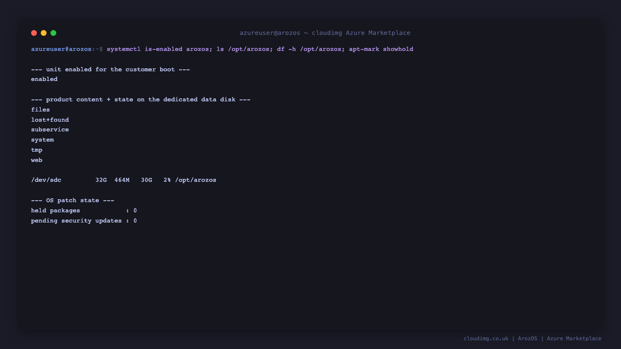 The enabled arozos unit, the product content and state on the dedicated data disk, the disk free space and the fully patched OS state